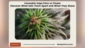Cannabis Vape Pens vs Flower: Discover What Sets Them Apart and What They Share Featured Image